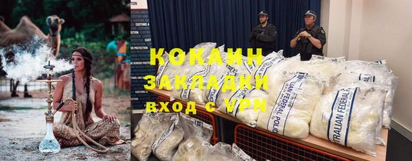 крисы Богданович