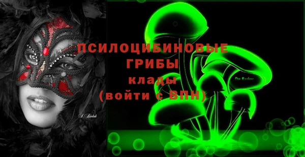 spice Белокуриха