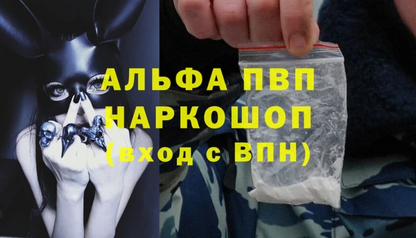 spice Белокуриха