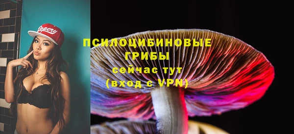 spice Белокуриха
