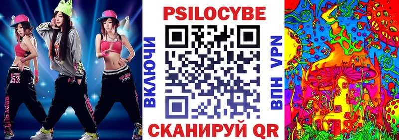 Псилоцибиновые грибы Psilocybe  где можно купить   Медвежьегорск 