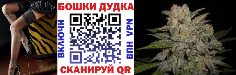купить закладку  Медвежьегорск  Канабис тримм 